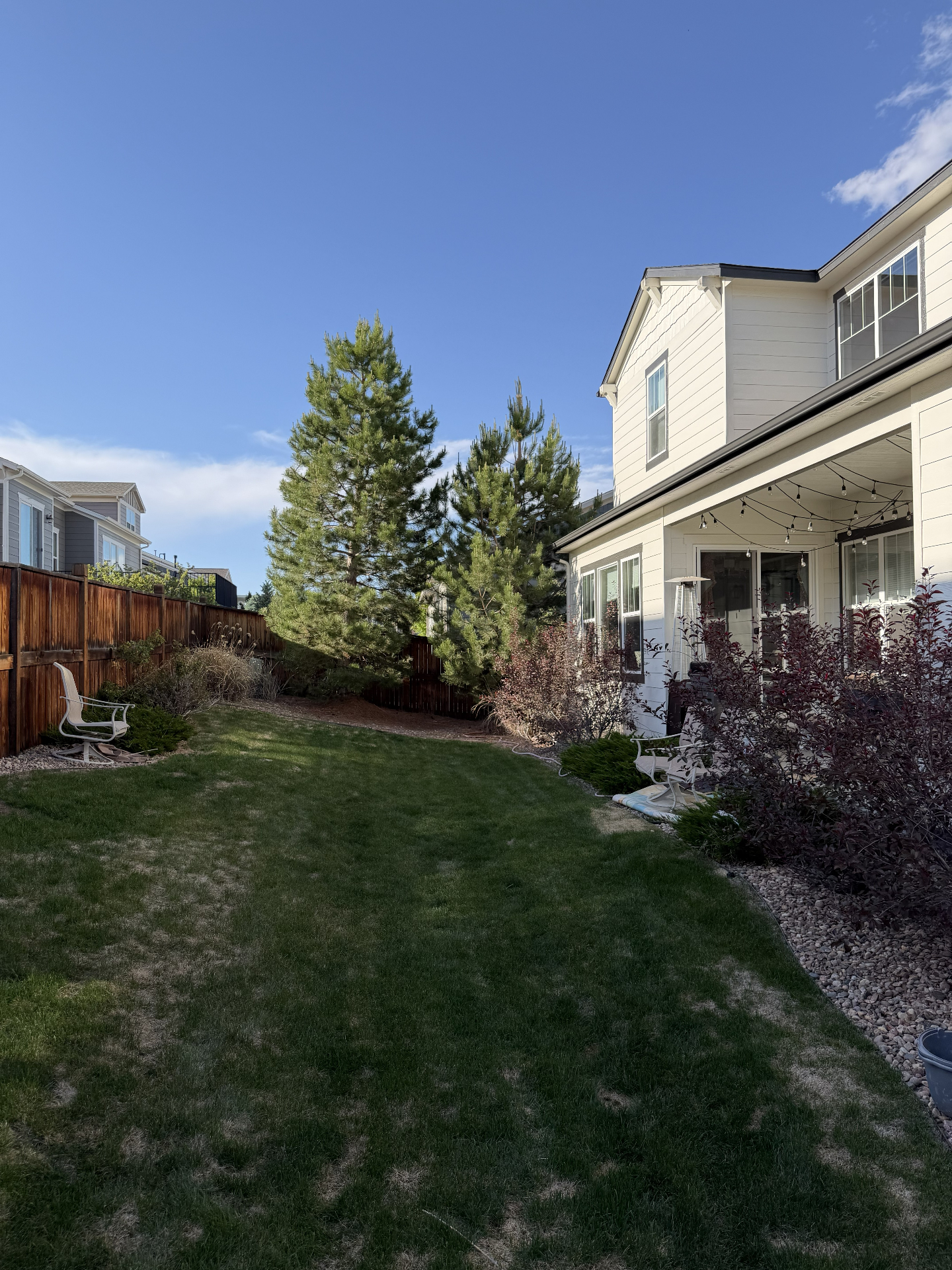 Backyard — Before the Deck